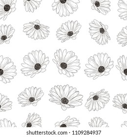 Eps 10 hand drawn daisies arctotis flowers seamless pattern design