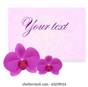 EPS 10. Orchid card.