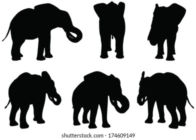 Eps 10 Set of editable vector silhouettes of African elephants in eat poses