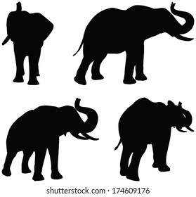 Eps 10 Set of editable vector silhouettes of African elephants in trumpet poses