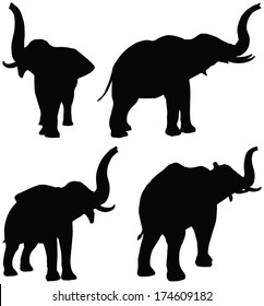 Eps 10 Set of editable vector silhouettes of African elephants in scent poses