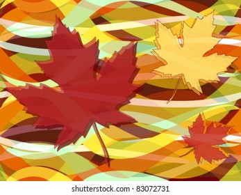EPS 10: Transparent maple leaves on wavy seasonal fall or autumn colors wavy background.