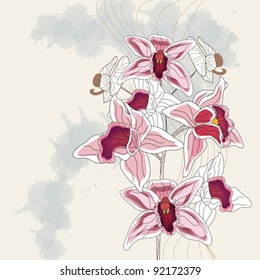 EPS 10 vector - artistic branch of orchid with space for text