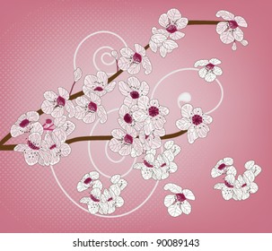 EPS 10 vector - cherry blossom - artistic branch