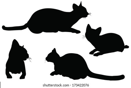 EPS 10 vector collection of cats silhouettes 