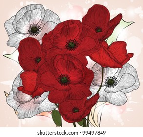 Eps 10 vector - hand drawn vintage poppies composition