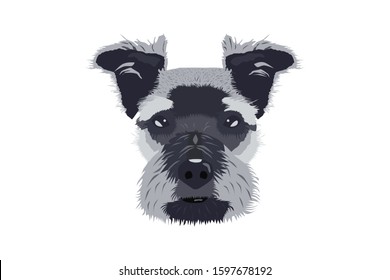 EPS 10 vector. Head of a dog on white background.