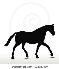 EPS 10 Vector - horse silhouette in Parade Walk position