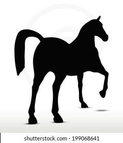 EPS 10 Vector - horse silhouette in Show Horse position