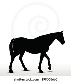 EPS 10 Vector - horse silhouette in Walking Head Down position