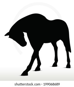 EPS 10 Vector - horse silhouette in standing still position