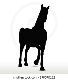 EPS 10 Vector - horse silhouette in Show Horse position