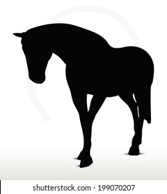 EPS 10 Vector - horse silhouette in Walking Head Down position