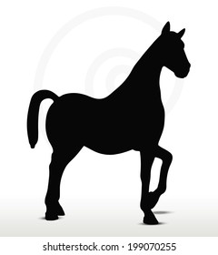 EPS 10 Vector - horse silhouette in Show Horse position
