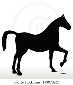 EPS 10 Vector - horse silhouette in Show Horse position