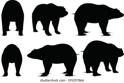 EPS 10 Vector illustration of Bear Silhouette