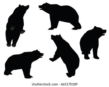 EPS 10 vector illustration of Bear silhouette 