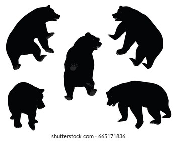 EPS 10 vector illustration of Bear silhouette 