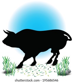 EPS 10 Vector illustration of Bull Silhouette