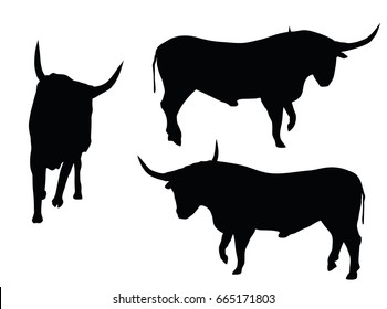 EPS 10 vector illustration of bull silhouette