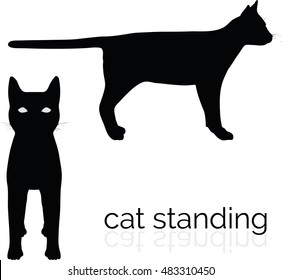EPS 10 vector illustration of cat  on white background
