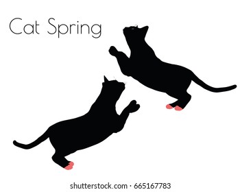EPS 10 vector illustration of cat silhouette in Spring Pose