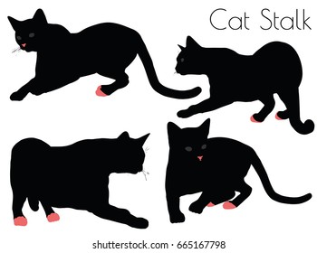 EPS 10 vector illustration of cat silhouette in Stalk Pose