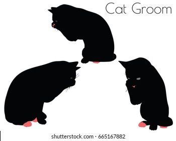 EPS 10 vector illustration of cat silhouette in Groom Pose