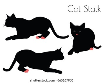 EPS 10 vector illustration of cat silhouette in Stalk Pose