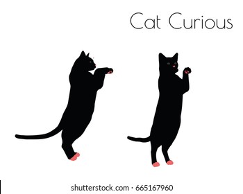 EPS 10 vector illustration of cat silhouette in Curious Pose