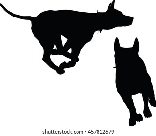 EPS 10 vector illustration of dog silhouette in black 