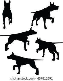 EPS 10 vector illustration of dog silhouette in black 
