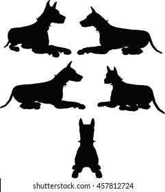 EPS 10 vector illustration of dog silhouette in black 
