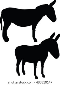 EPS 10 vector illustration of donkey on white background
