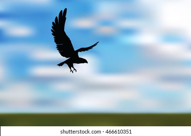 EPS 10 vector illustration of eagle silhouette