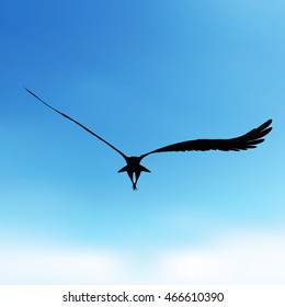 EPS 10 vector illustration of eagle silhouette
