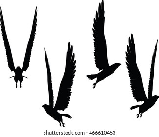 EPS 10 vector illustration of eagle silhouette