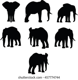 EPS 10 vector illustration of elephant collection in black