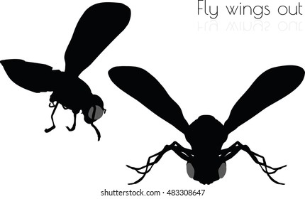 EPS 10 vector illustration of fly on white background
