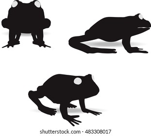 EPS 10 vector illustration of frog on white background
