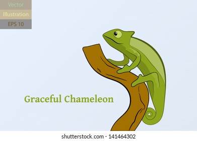 EPS 10 - Vector illustration of Graceful Chameleon on a branch with removable background.