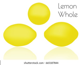 EPS 10 vector illustration of Lemon Whole  on white background