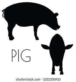 EPS 10 Vector Illustration of Pig Silhouette On White Background