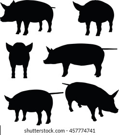 EPS 10 vector illustration of pig collection silhouette in black 
