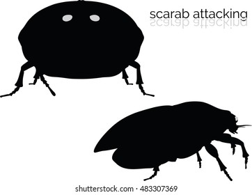 EPS 10 vector illustration of scarab on white background
