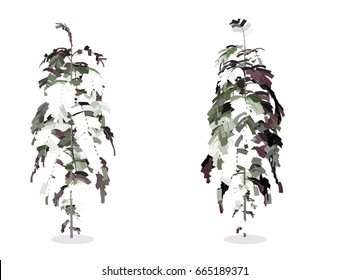 EPS 10 vector illustration of tree, plant silhouette