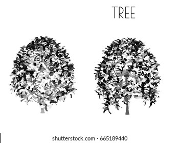 EPS 10 vector illustration of tree, plant silhouette