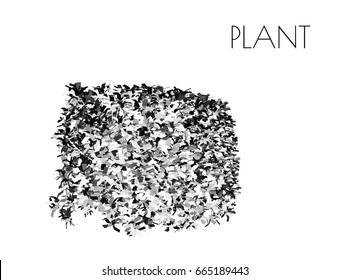 EPS 10 vector illustration of tree, plant silhouette