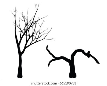 EPS 10 vector illustration of tree, plant silhouette