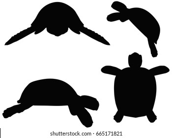 EPS 10 vector illustration of turtle, tortoise silhouette